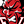 DVIL