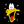 -DUCK