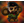 JI_P