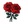 BLUME
