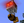 H-ESH