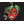 YUMM2