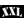 26XXL
