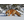 SLFOX