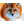 Y-FOX
