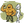 SMTNK