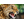 SPYTN