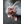BNDLG