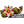 ITD1