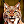 LYNXZ