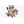 EN_P