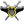 S0F