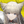 A-ENF