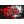 M5N