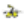 SPZ-D