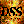 DSS_