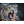 15PCO