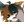 WTFOX