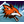 T-FOX