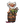 OIDY