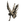 L_EXS