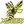 XBEES