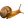 ESCAR