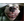 _DDD