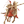 HCVLR