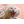 S-MUR