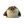 LMNG5