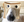 CRNOS