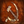 CCCR_