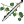 ZASAD