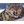 XAK19