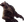 GUM