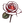 UN