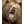 BEARE