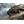 ETIG