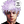 NKSL