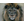 ZAMBA