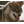 RU_WA