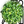 FISS