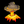 LAVA