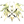 AN0NS