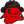 ADUCK