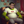 SCUF-