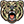 AM-CK