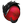 -WNA-