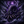 NAUS